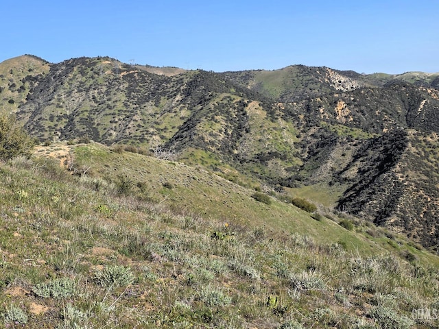 4501 Ridge Route Dr, Lebec, CA 93243