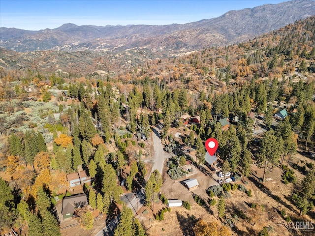 bird's eye view featuring a mountain view and a view of trees