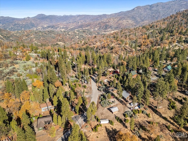 aerial view with a mountain view and a wooded view