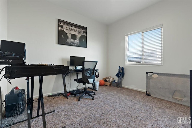 office with carpet floors