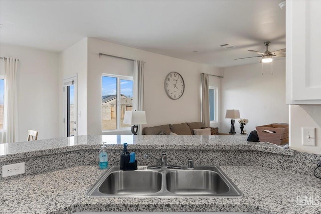 kitchen featuring ceiling fan and sink