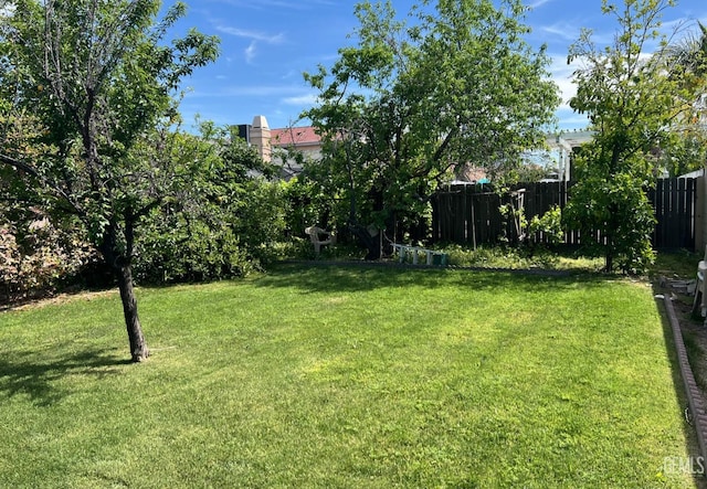 1941 Vassar St, Delano, CA 93215 - view of yard