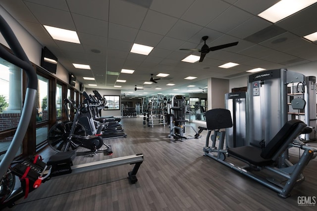 gym featuring a paneled ceiling and ceiling fan