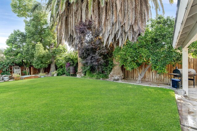 7701 Shetland Dr, Bakersfield, CA 93309 - view of fenced yard