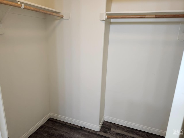 spacious closet with dark hardwood / wood-style flooring