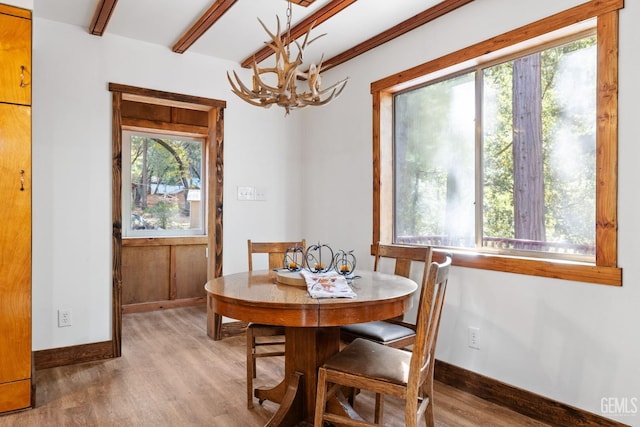 dining space featuring hardwood / wood-style floors, a notable chandelier, and beam ceiling