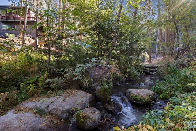 view of local wilderness