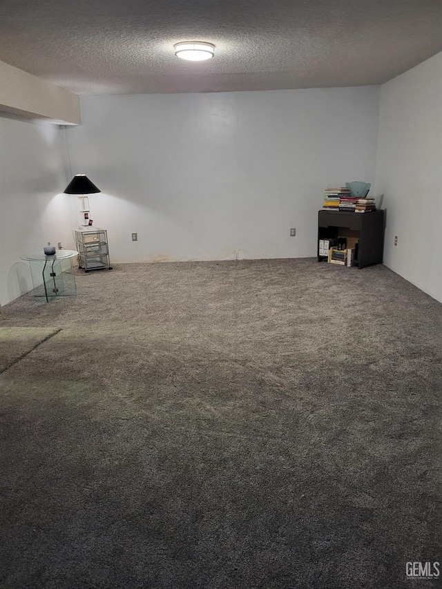 interior space featuring a textured ceiling and carpet floors