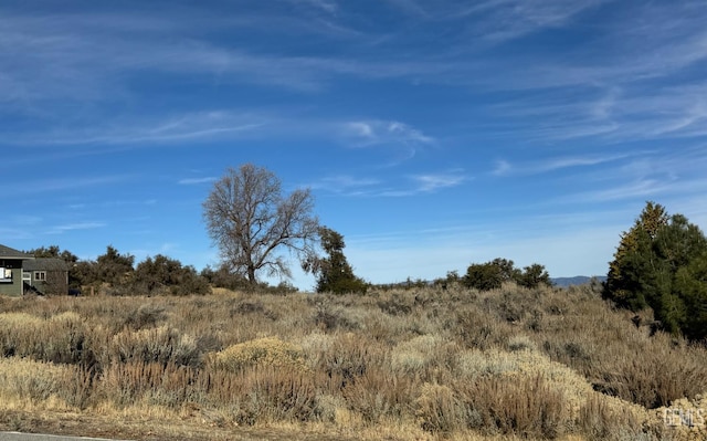 26400 Jacaranda Dr, Tehachapi, CA 93561 - photo 10