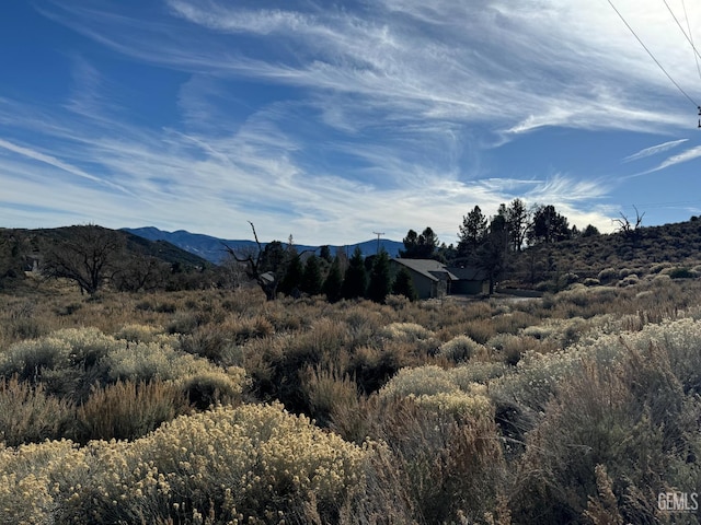 26400 Jacaranda Dr, Tehachapi, CA 93561 - photo 6