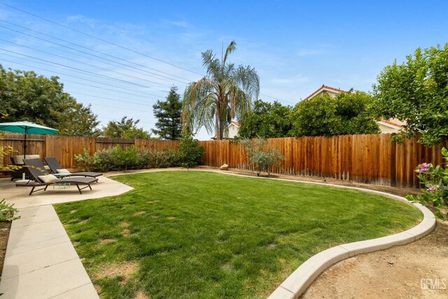 8220 Birmingham St, Bakersfield, CA 93311 - view of yard with a patio area