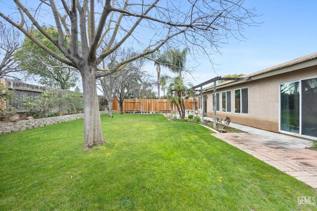 view of yard featuring a patio area