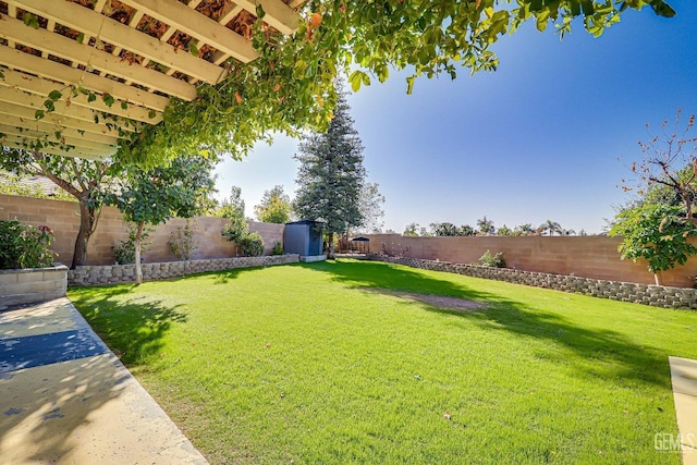 view of yard with a shed