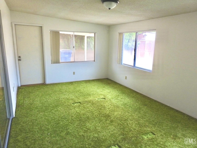 unfurnished bedroom featuring carpet flooring and a textured ceiling