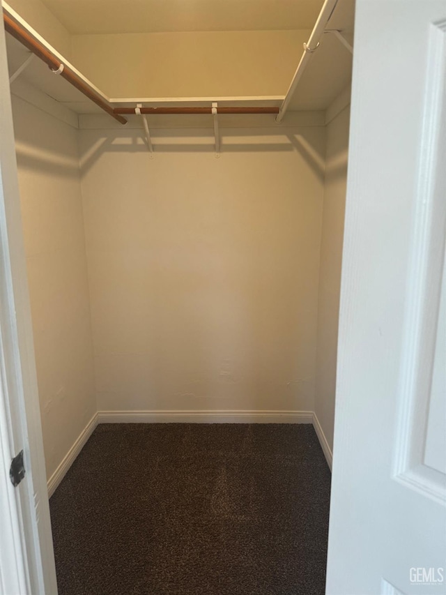 walk in closet featuring carpet