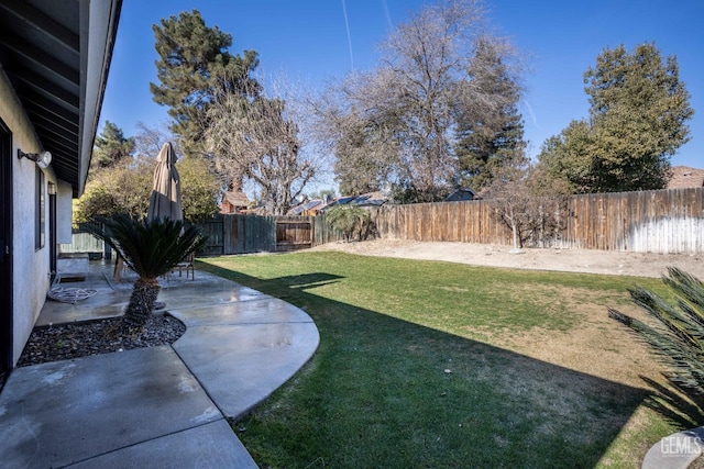 view of yard featuring a patio