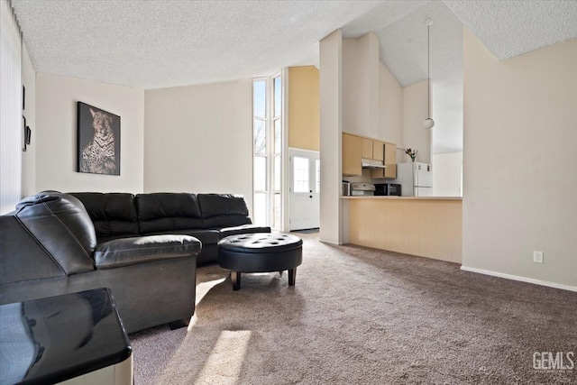 carpeted living room with baseboards, vaulted ceiling, and a textured ceiling