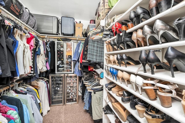 spacious closet featuring carpet