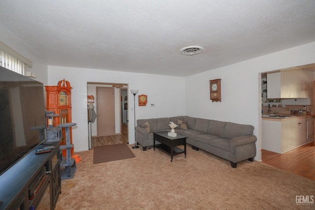 carpeted living room with a textured ceiling