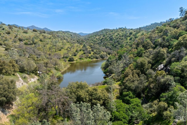 4227 Poso Flat Rd, Bakersfield, CA 93308 - property view of water featuring a view of trees and a mountain view