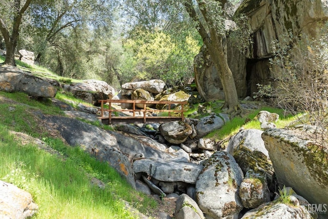 4227 Poso Flat Rd, Bakersfield, CA 93308 - view of landscape with a view of trees