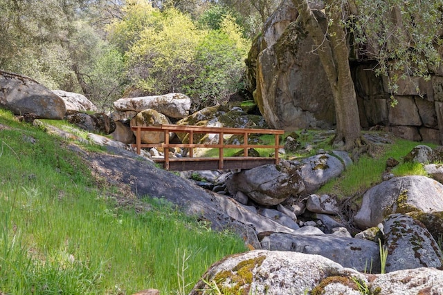 4227 Poso Flat Rd, Bakersfield, CA 93308 - view of local wilderness with a view of trees