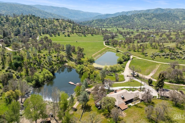 4227 Poso Flat Rd, Bakersfield, CA 93308 - bird's eye view with a water and mountain view