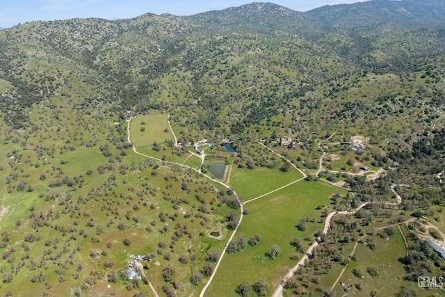 4227 Poso Flat Rd, Bakersfield, CA 93308 - bird's eye view with a mountain view