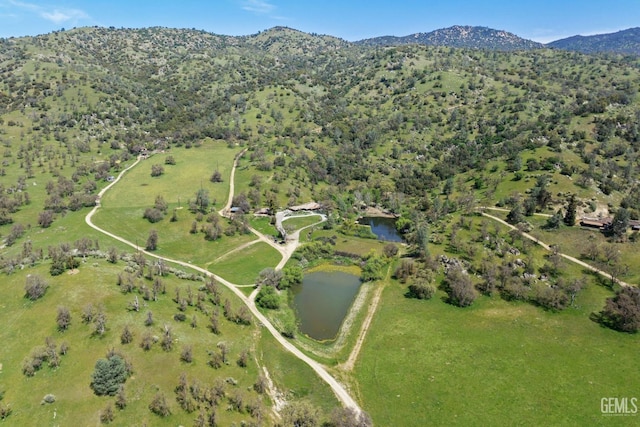 4227 Poso Flat Rd, Bakersfield, CA 93308 - aerial view with a water and mountain view