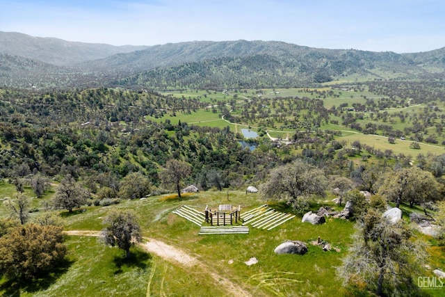 4227 Poso Flat Rd, Bakersfield, CA 93308 - drone / aerial view with a rural view and a water and mountain view
