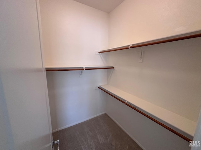 spacious closet featuring dark colored carpet