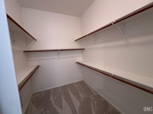 walk in closet with dark colored carpet