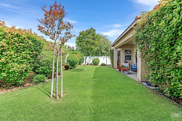 view of yard with a fenced backyard