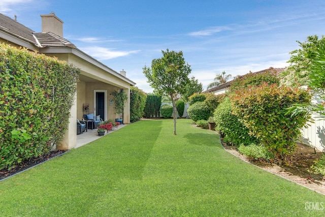 view of yard featuring a patio area