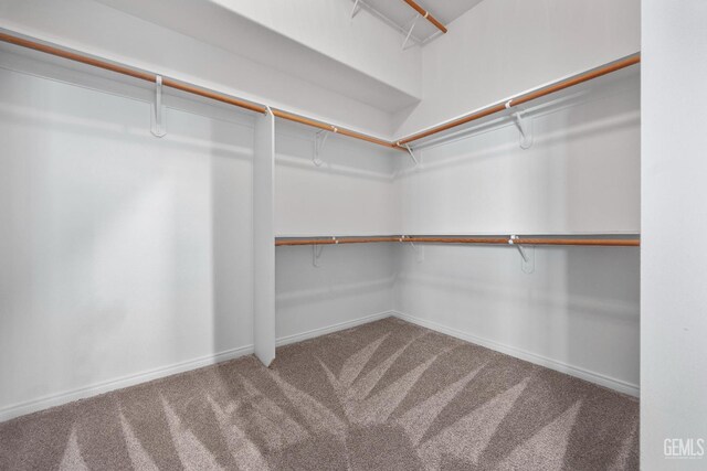 10611 Fishers Peak Dr, Bakersfield, CA 93312 - walk in closet featuring carpet