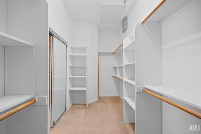 spacious closet with light carpet