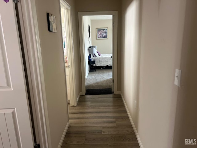 hall featuring dark hardwood / wood-style floors