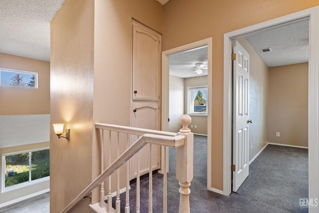 staircase with carpet flooring and a textured ceiling