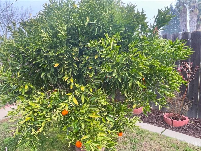 820 Park St, Lodi, CA 95240 - view of yard with fence