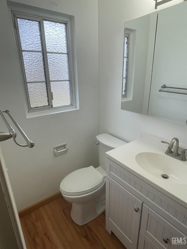 bathroom with toilet, vanity, and wood-type flooring