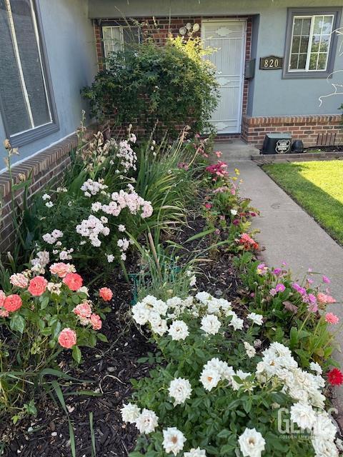 820 Park St, Lodi, CA 95240 - view of yard
