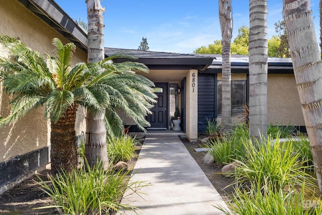 view of exterior entry with stucco siding