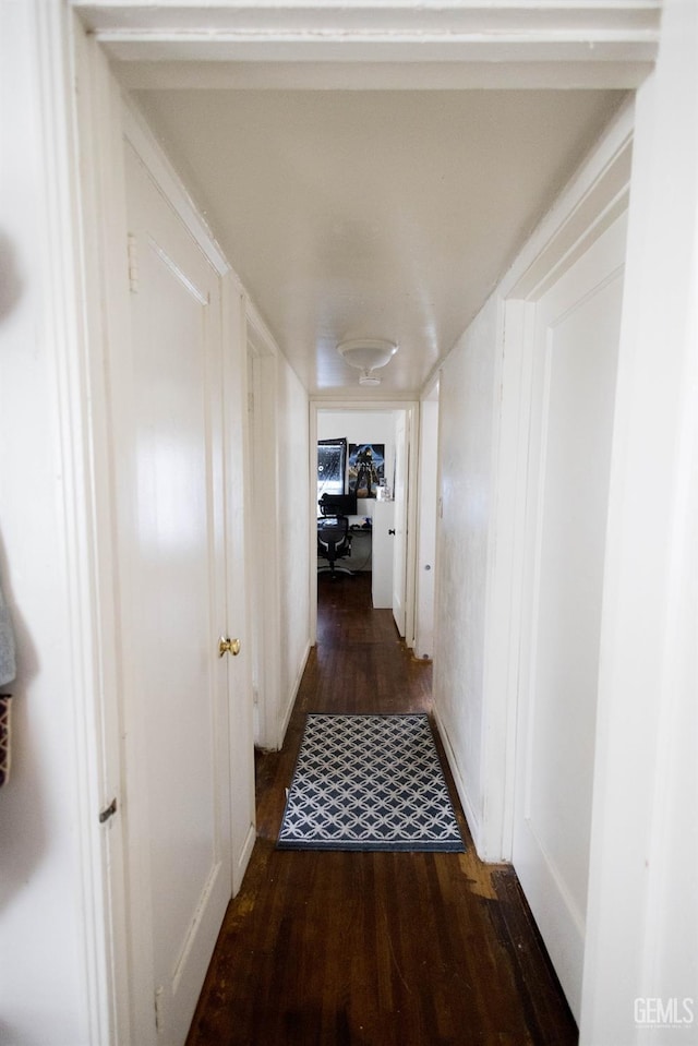 hallway featuring wood finished floors