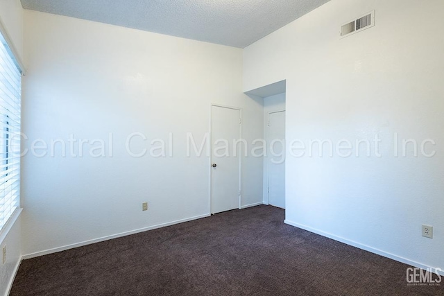 carpeted empty room with a healthy amount of sunlight and a textured ceiling