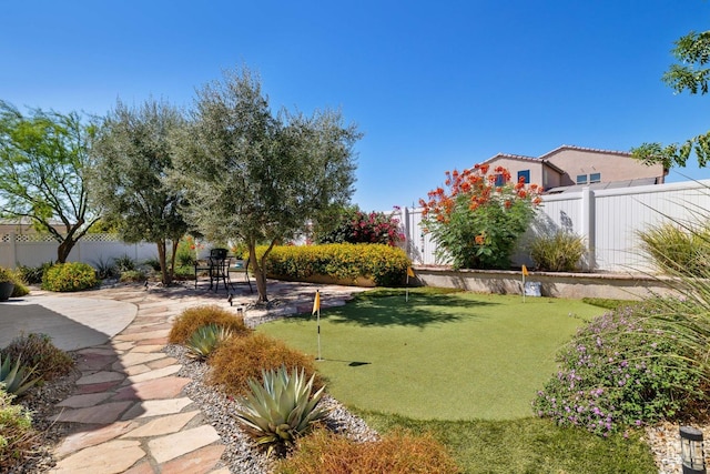 view of yard with a patio