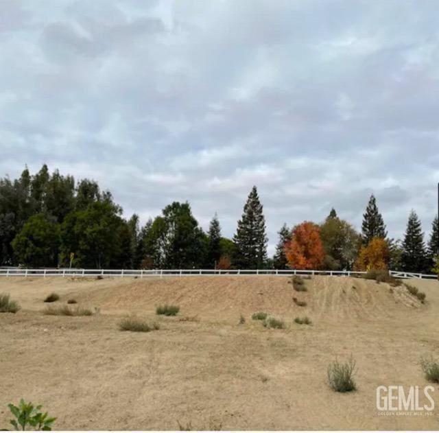 view of yard with a rural view