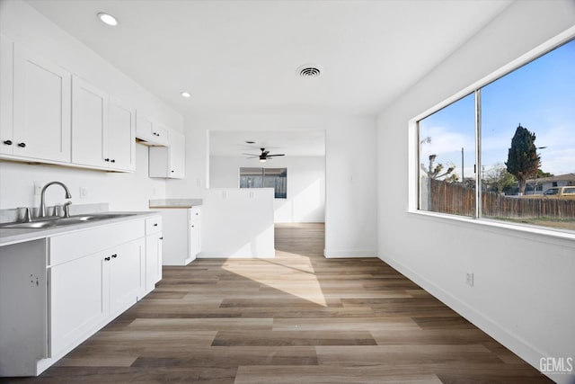 kitchen with white cabinetry, ceiling fan, wood-type flooring, and sink