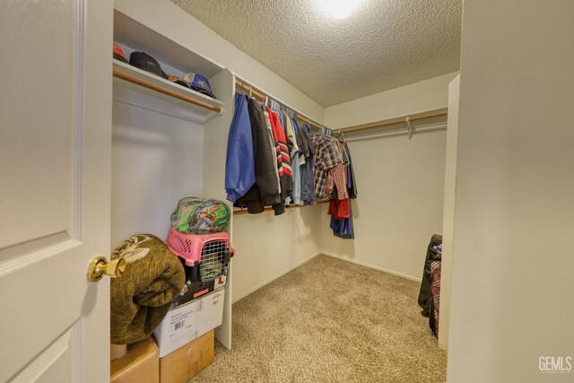 6320 Quaking Aspen St, Bakersfield, CA 93313 - photo 25