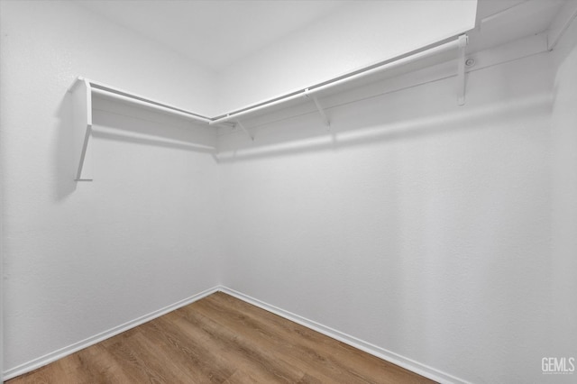 6209 Ambergrove St, Bakersfield, CA 93313 - walk in closet featuring wood finished floors