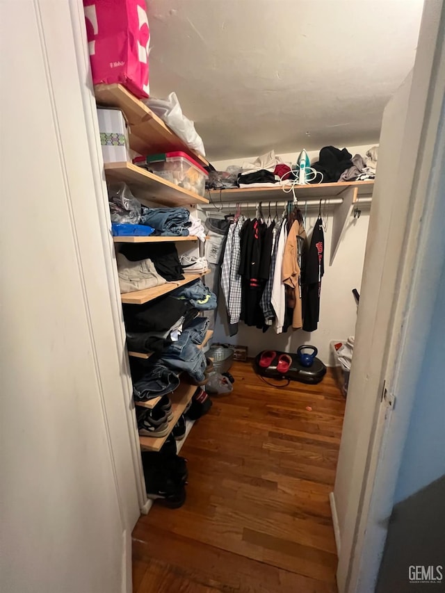 spacious closet with hardwood / wood-style flooring